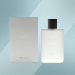 Men Silver by Zara