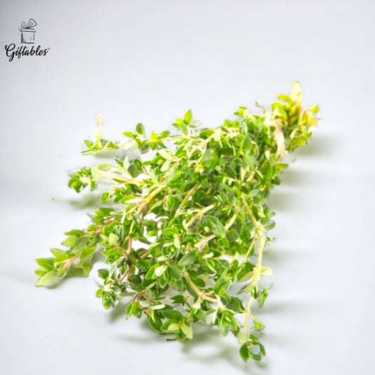 Giftables Fresh Thyme / PKT