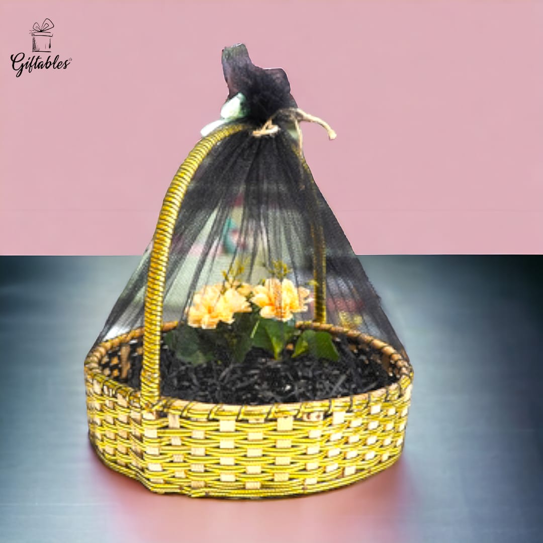 Golden round basket with beautiful wrapping